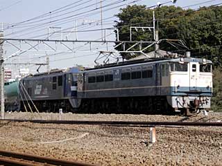 EF65型1000番台 特急色 (EF65-1001) JR武蔵野貨物線 府中本町〜新鶴見