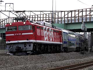 EF81型0番台 レインボー色 (EF81-95) JR武蔵野貨物線 新鶴見〜府中本町