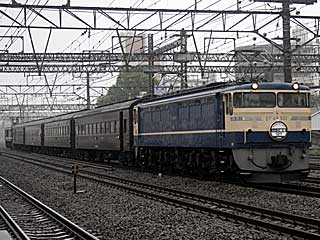 快速「レトロ横濱」 EF65型500番台 特急色 (EF65-501) JR東海道本線 川崎〜横浜