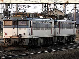 ED79型50番台 貨物色 (ED79-55) 五稜郭
