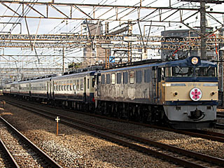 急行「いず物語」 EF60型0番台 一般色 (EF60-19) JR東海道本線 川崎〜横浜