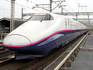 E2系1000番台 はやて色 (E223-1101) JR東北新幹線 大宮