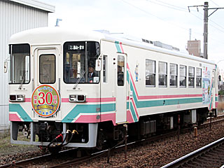 AR300` ʐF (AR301) ÖؓS R AR301