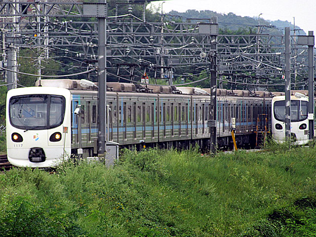 nS1 1000n (1117) mnS1 jz