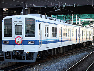 8000系 更新車青帯 (8565) 東武大師線 西新井 8565F