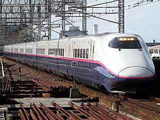 E2系1000番台 はやて色 (E223-1005) JR上越新幹線 大宮 J55編成
