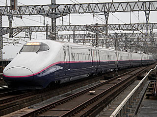 E2系1000番台 はやて色 (E223-1025) JR上越新幹線 大宮 J75編成